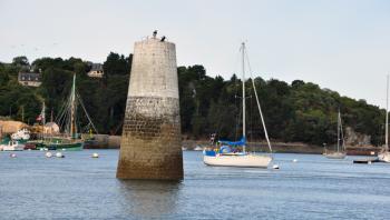 Cormorans sur le Trieux (Côtes d'Armor)